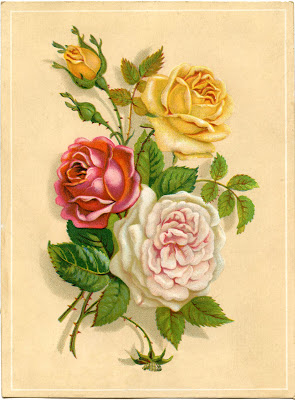 Vintage Stock Images - Amazing Old Roses - The Graphics Fairy