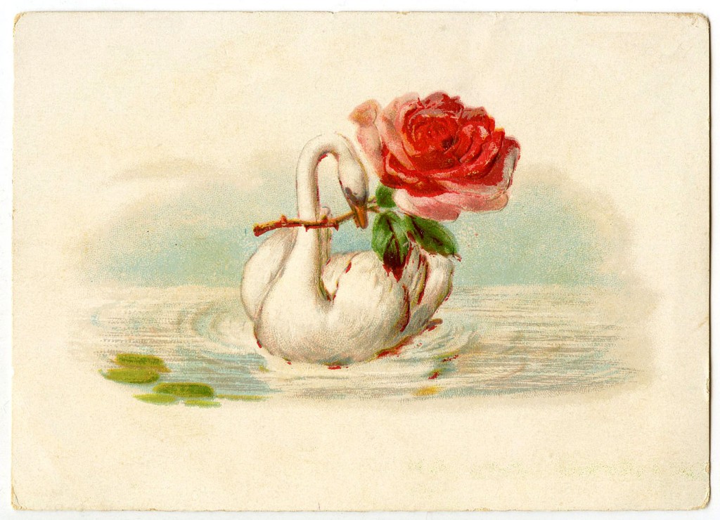 Vintage Swan with Rose Image