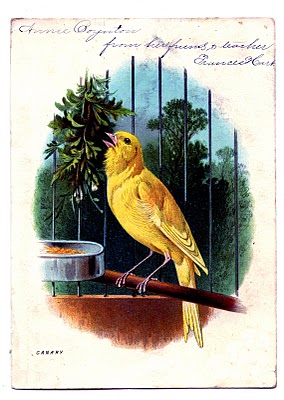 Vintage Clip Art - Sweet Canary in Cage - The Graphics Fairy