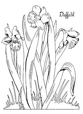 Download 10 Floral Adult Coloring Pages The Graphics Fairy