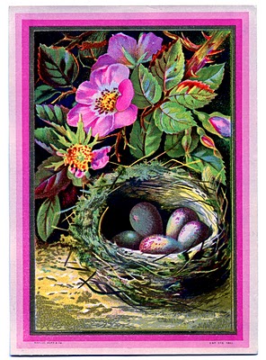 Vintage Clip Art Nest with Eggs and Pink Roses The 