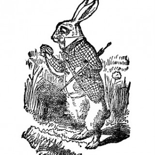 Image of white Rabbit