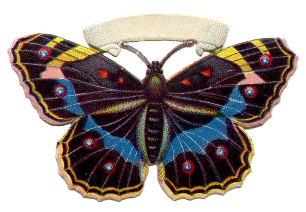 Butterfly Vintage Image Spotted