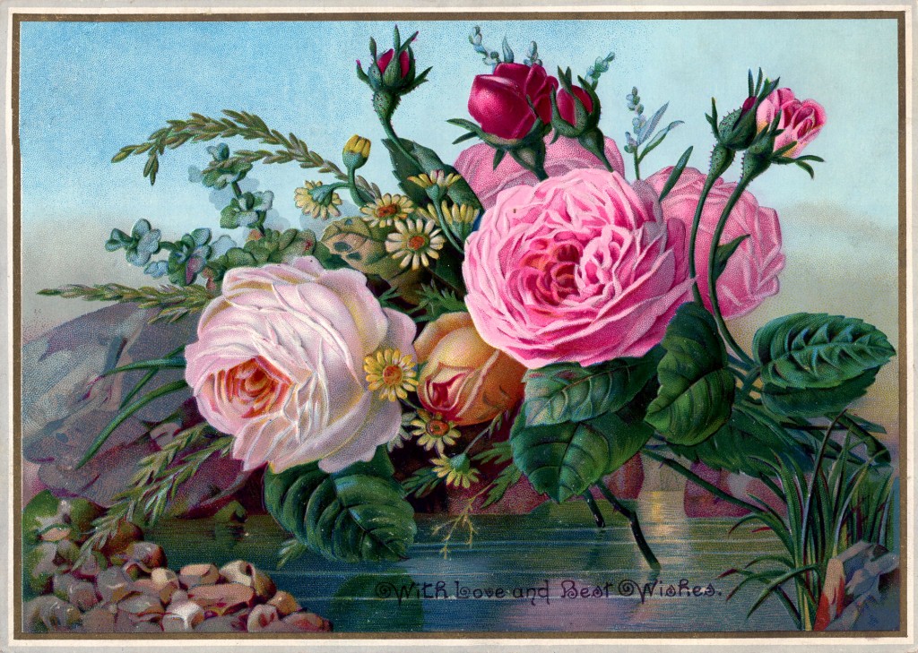 Free Public Domain Vintage Image - Stunning Roses - The ...