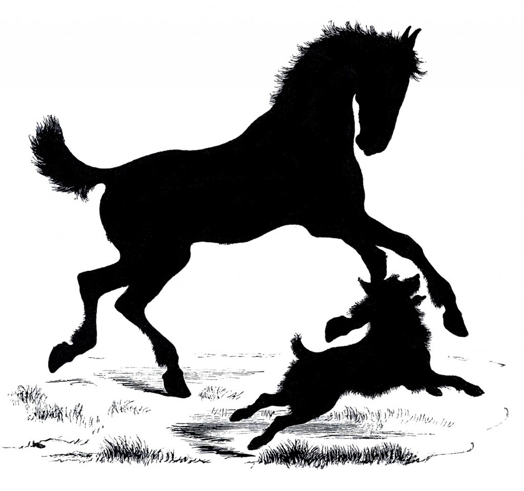 Download Free Vector Downloads - Silhouette Horse and Dog - The Graphics Fairy