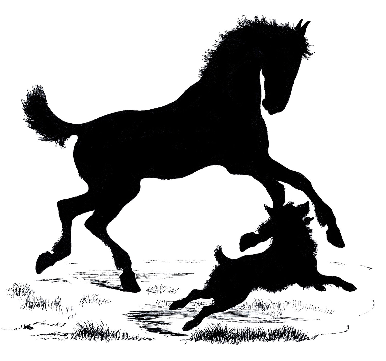 Download Free Vector Downloads - Silhouette Horse and Dog - The ...