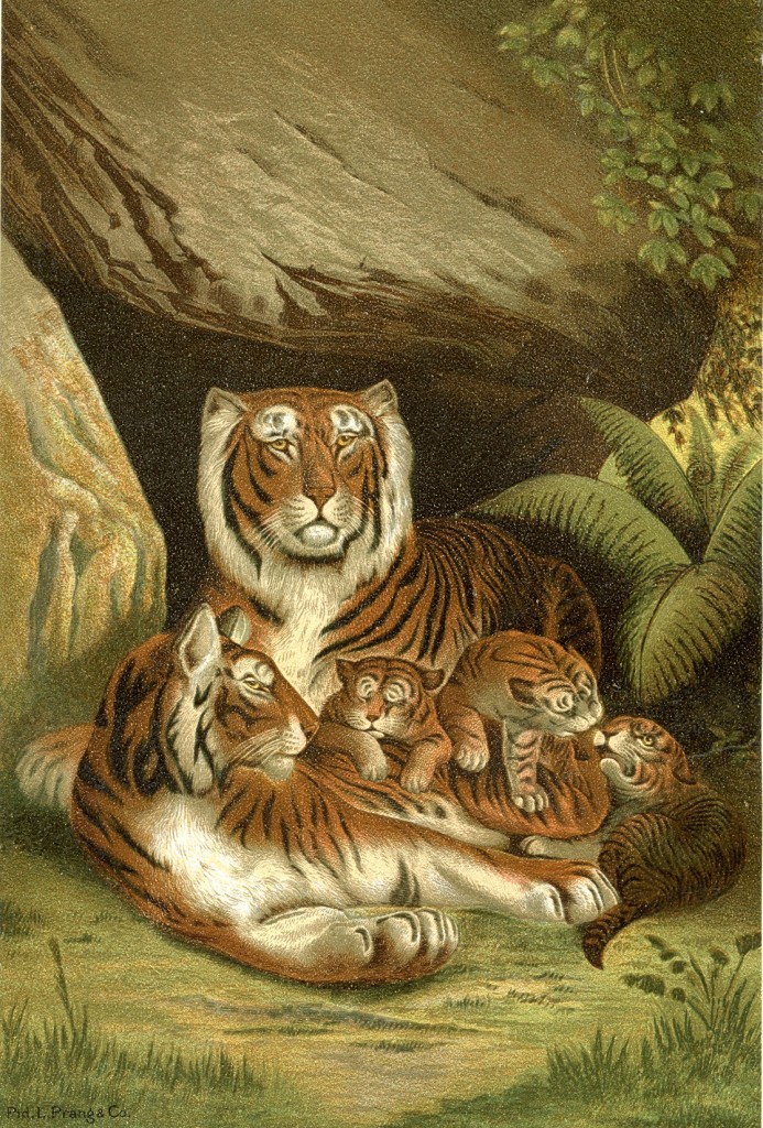 Vintage Tigers Printable