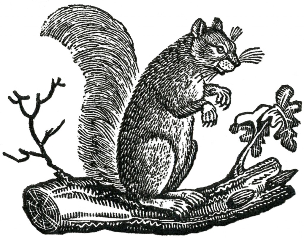 Free Fall Clip Art - Primitive Squirrels - The Graphics Fairy