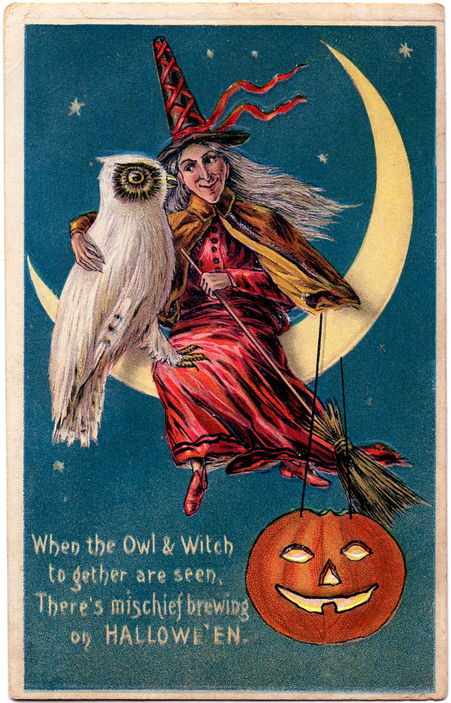 Halloween Witch with Owl Image