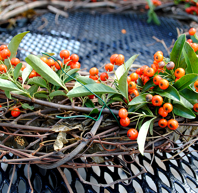 Make a pyracantha berries Wreath