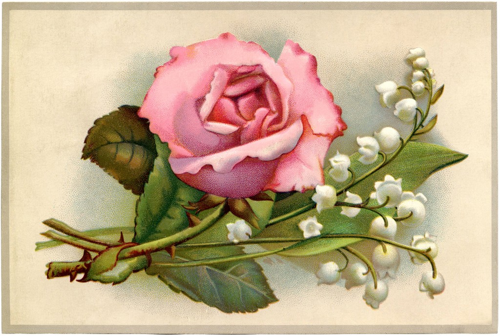 Vintage Roses and Lily of the Valley Image - The Graphics Fairy