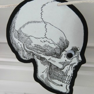Close up of Skull Halloween Decor