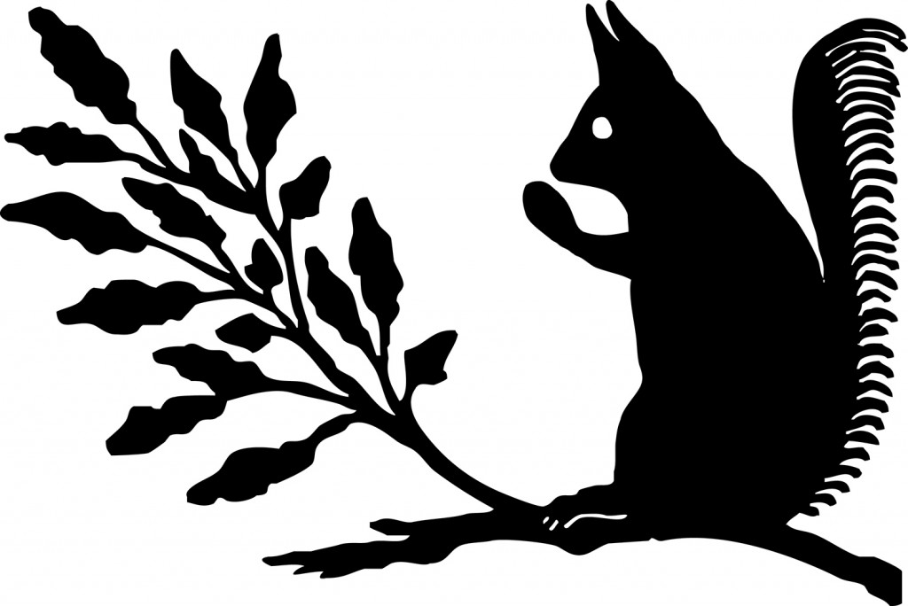 Squirrel Silhouette Image