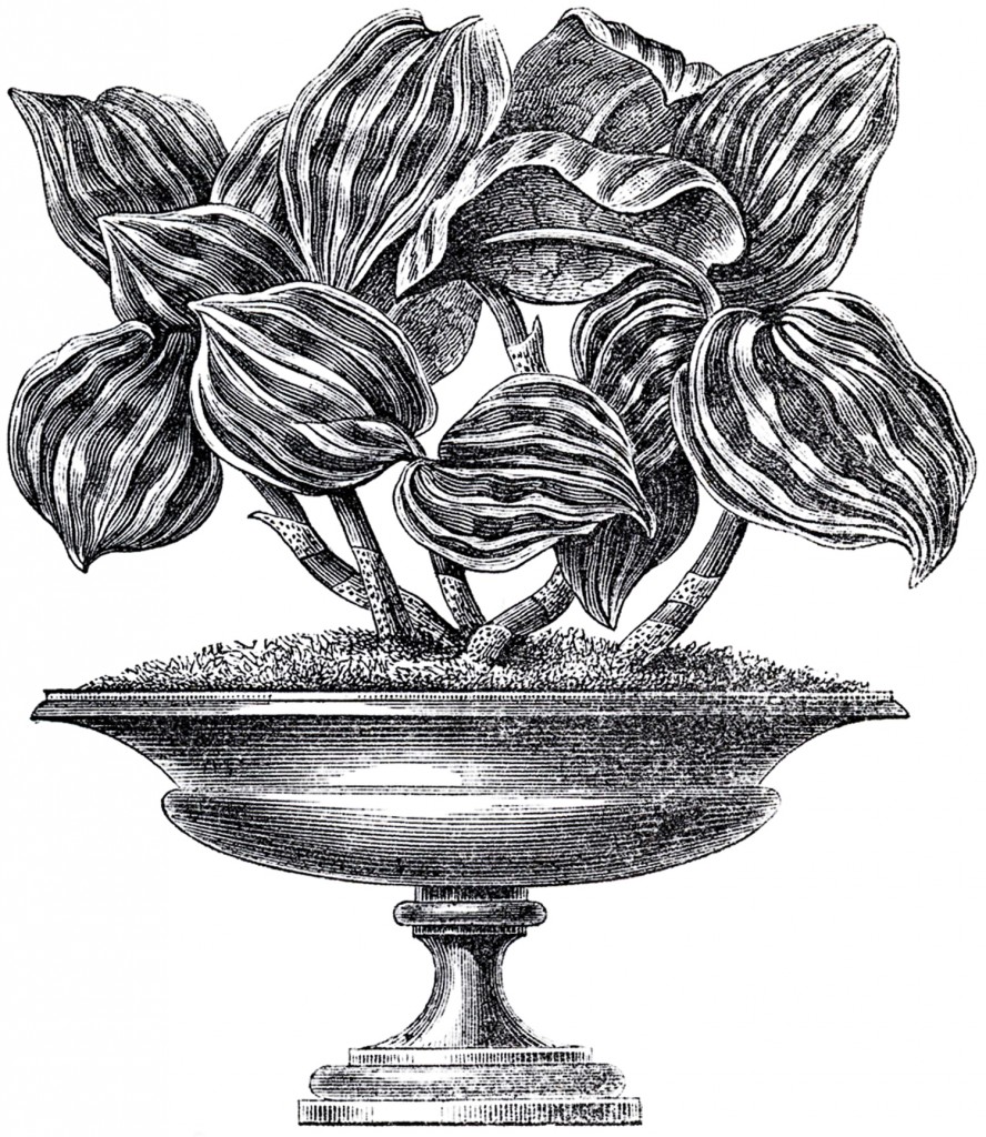 Vintage Garden Urn Image