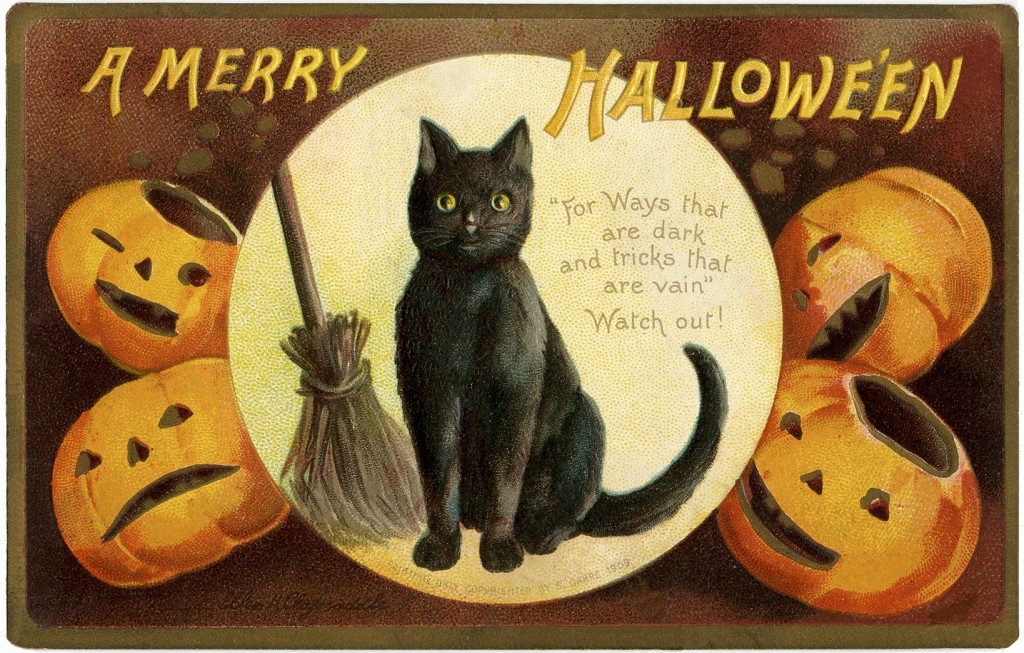 Cute Vintage Halloween Cat Image - The Graphics Fairy