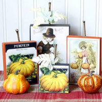 Thanksgiving display with pumpkins and pilgrims