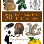 50 Free Best Fall Images