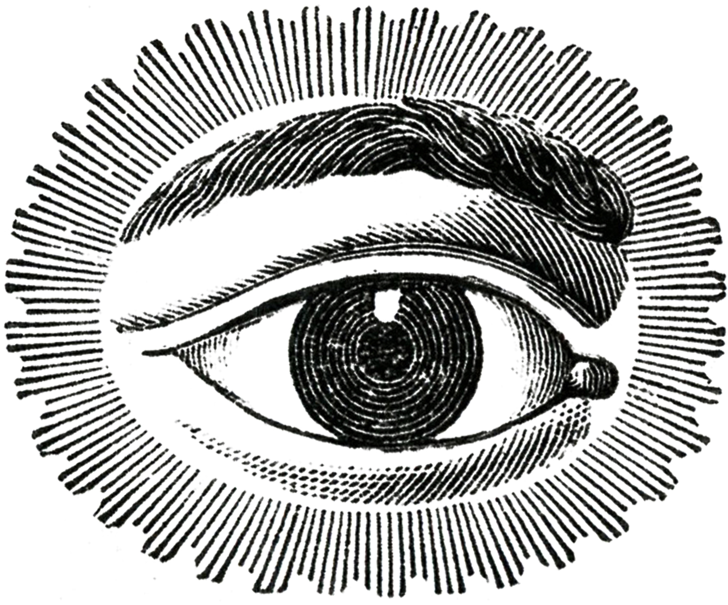 Free Public Domain Image Watching Eye