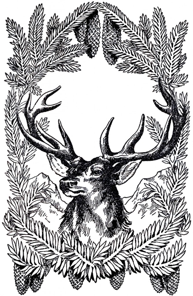 Free Vintage Christmas Pictures Deer
