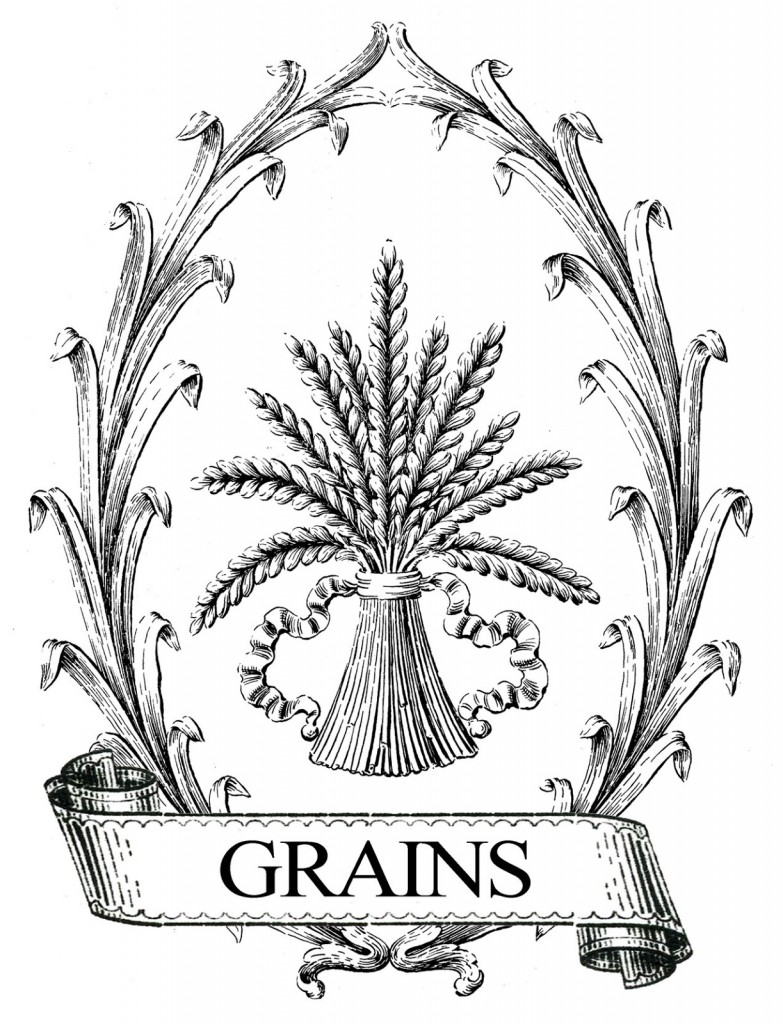 Harvest Grains Printable Transfer