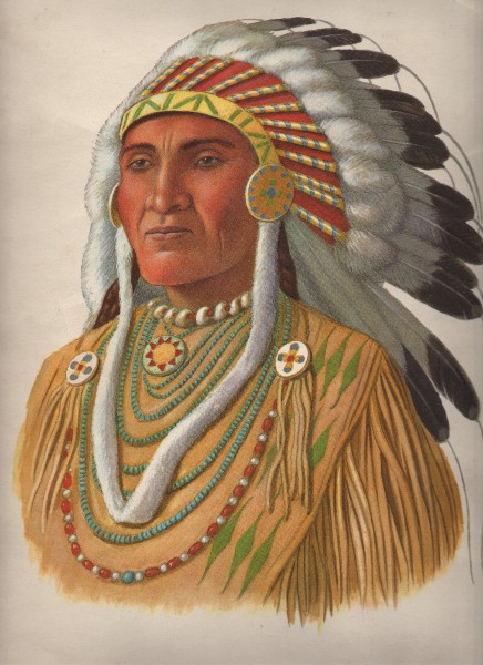 Indian Chief Image