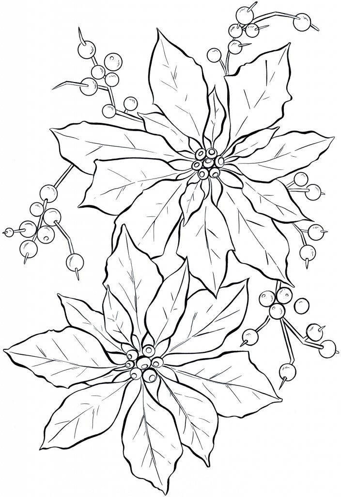 Download Poinsettia Line Art - Christmas - The Graphics Fairy