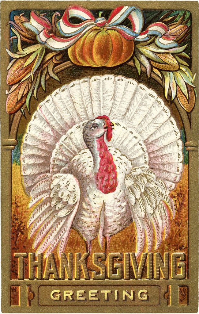 Thanksgiving Clip Art - White Turkey - The Graphics Fairy