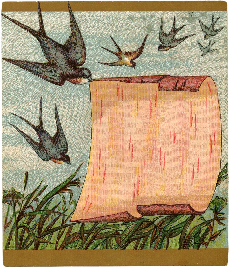 Victorian Trade Cards Swallows