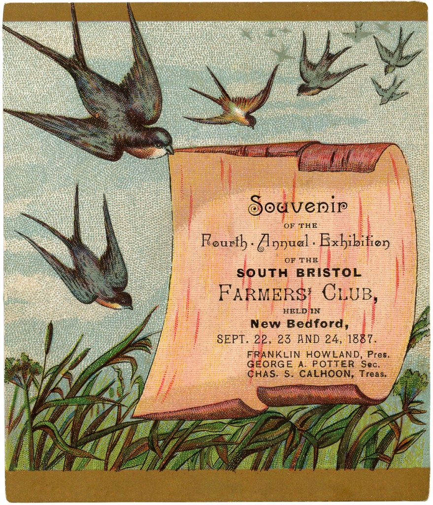 Victorian Trade Cards Swallows