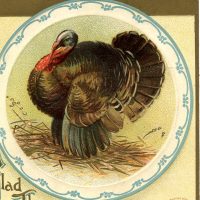 Vintage Thanksgiving Turkey Image