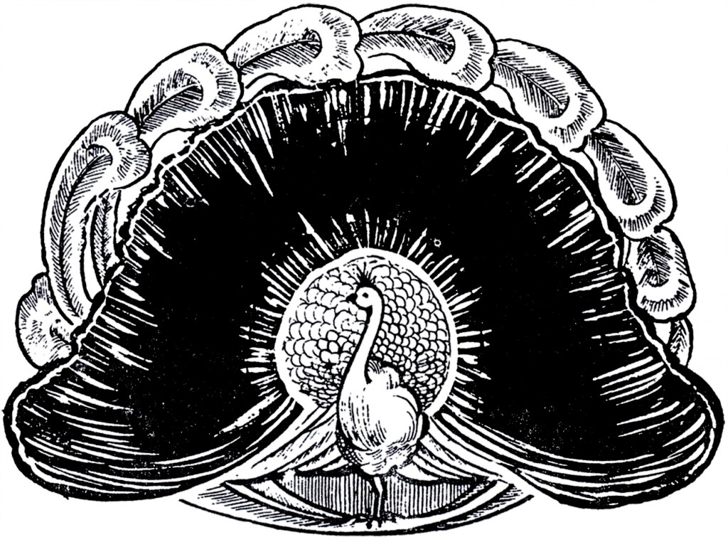 Deco Peacock Clipart