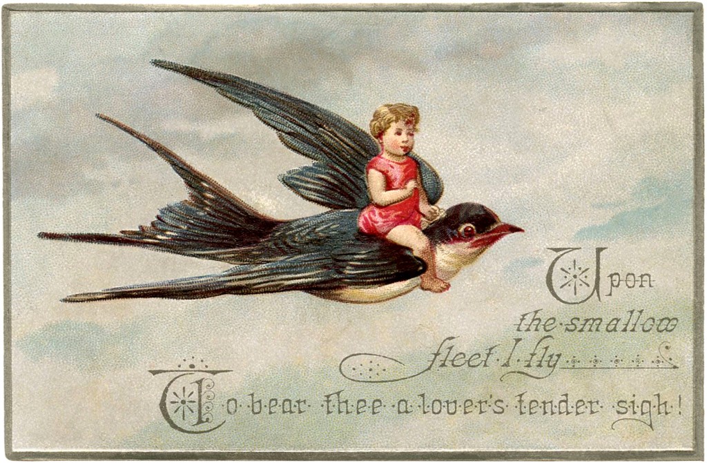 Flying Bird and Child Image