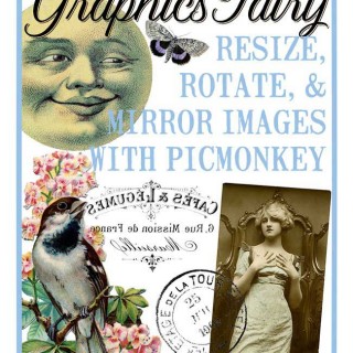 Resize, Rotate and mirror images with Picmonkey promo image, with moon, bird and lady.