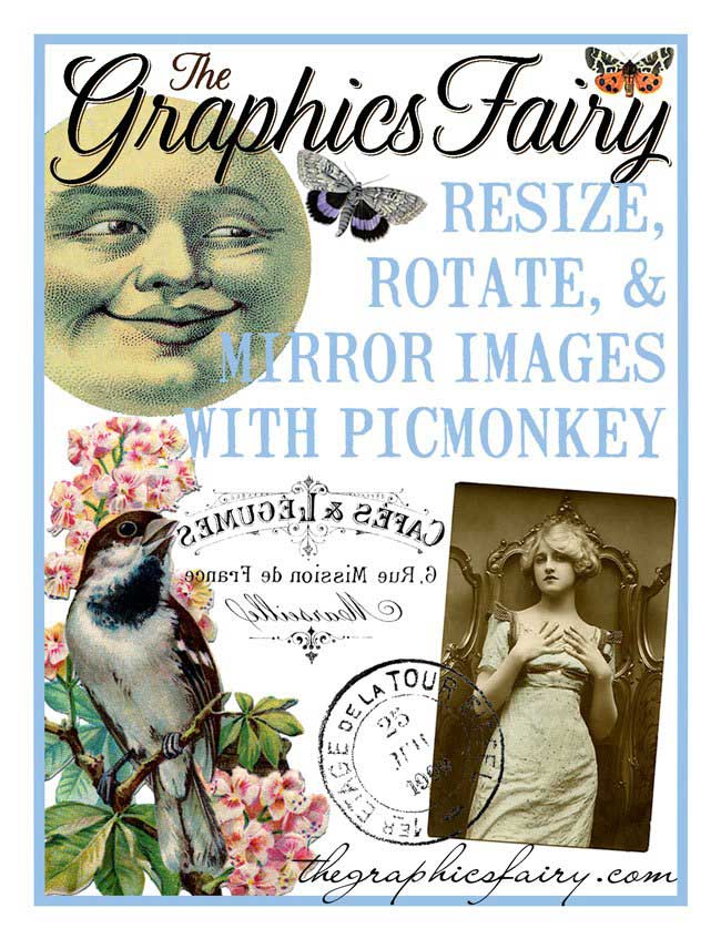 Resize, Rotate and mirror images with Picmonkey promo image, with moon, bird and lady. 