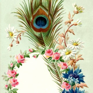 Vintage Peacock Feather Frame Image
