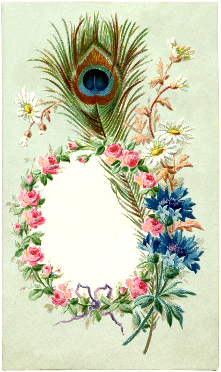 Vintage Peacock Feather Frame Image - The Graphics Fairy
