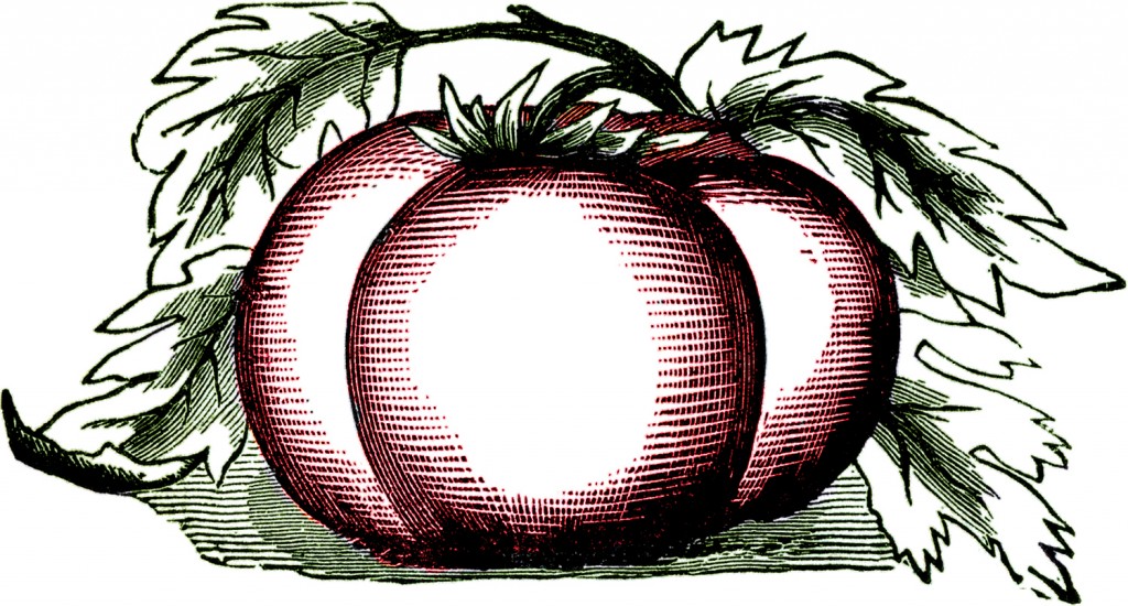Vintage Tomato Clip Art