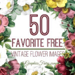 50 Free Vintage Flower Images