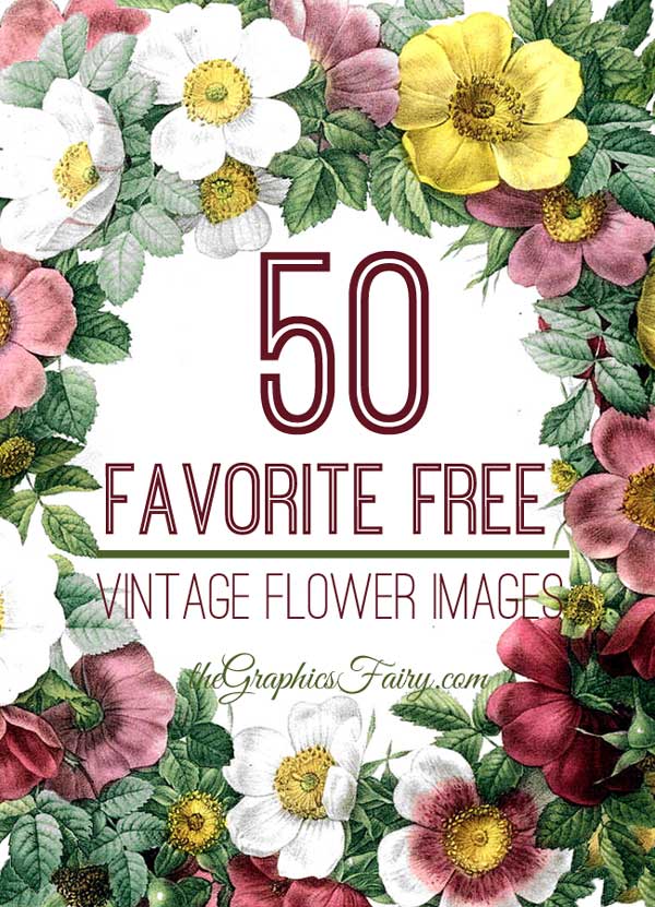 50 Favorite Free Vintage Flower Images The Graphics Fairy Images, Photos, Reviews