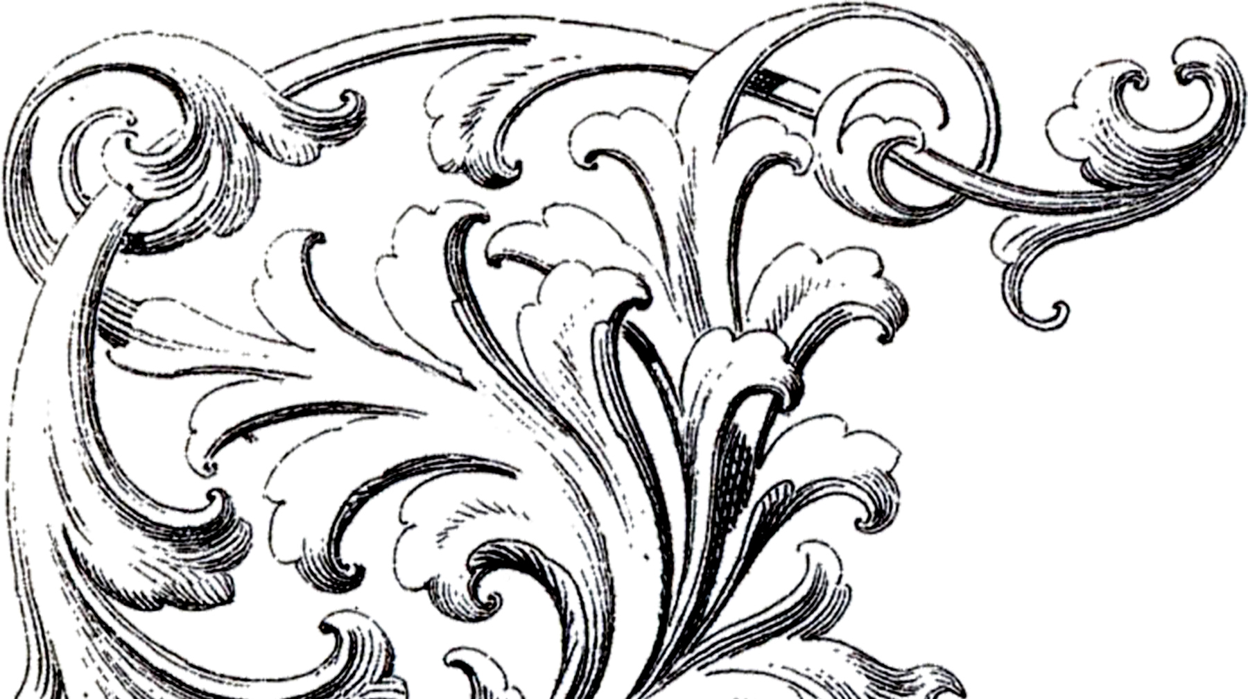 Scrolls Corner Ornament Images - The Graphics Fairy