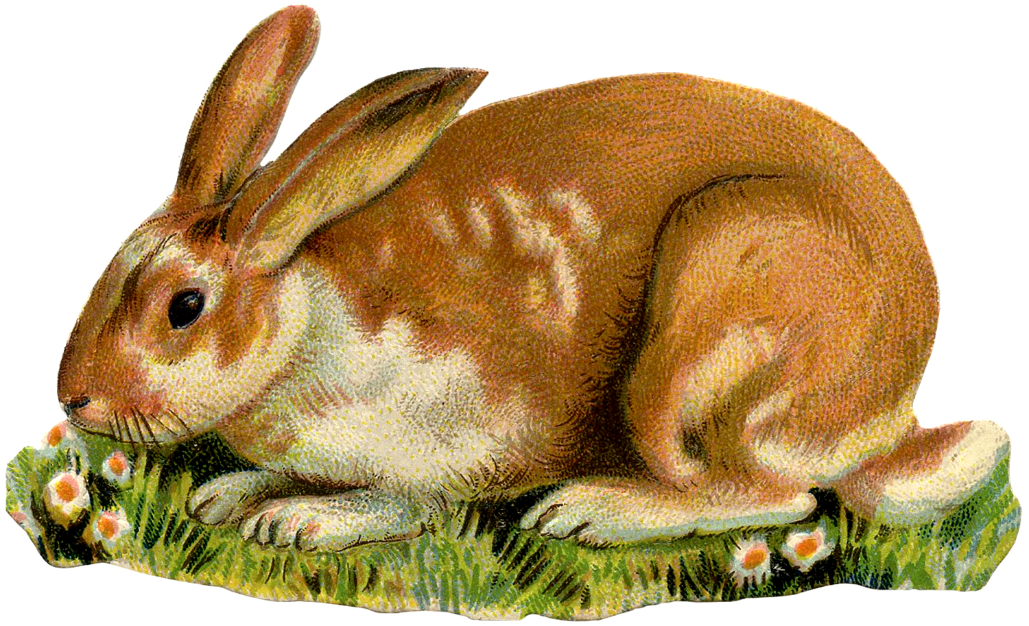 Download Vintage Spotted Bunny Image - The Graphics Fairy