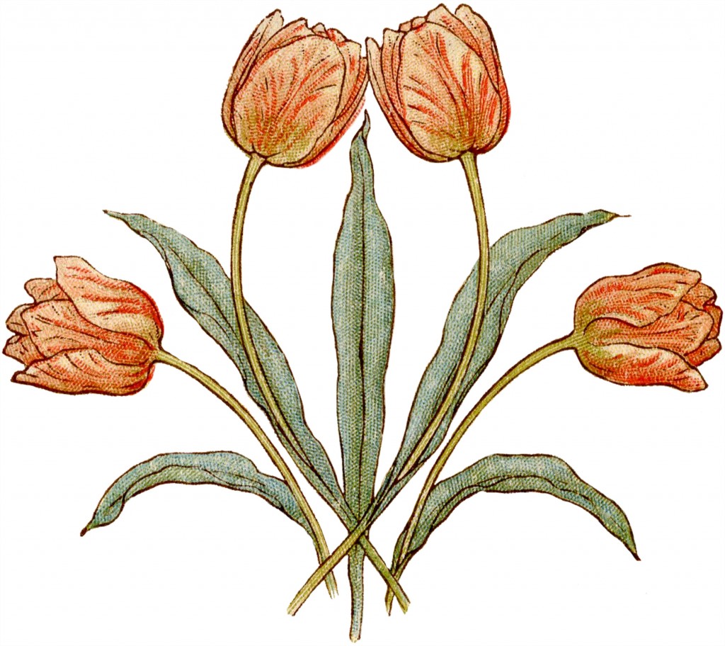 Vintage floral Illustration