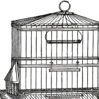 Vintage Wire Bird Cage Image