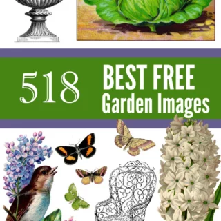 Free Garden Graphics