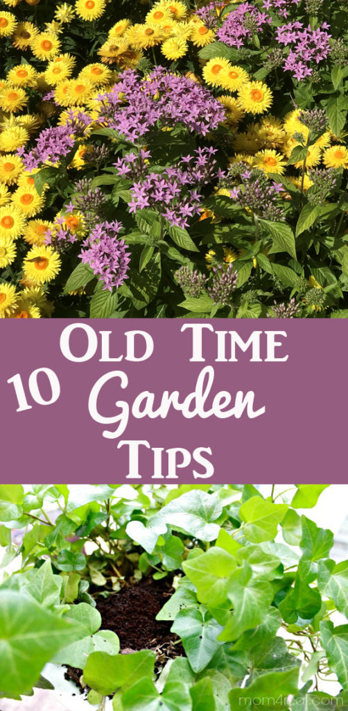 Old Fashioned Gardening Tips