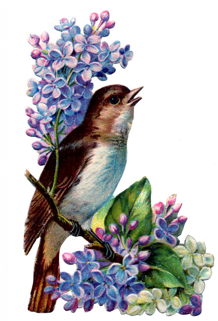 Victorian Scrap Bird with Lilacs