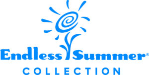 endless summer logo