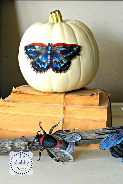 Halloween+Bug+Mantel+pumpkin-ShabbyNest