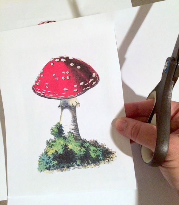 Mushroom print