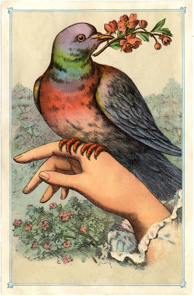 Victorian Bird On Hand Image The Graphics Fairy